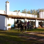 Masseria Didattica “De Matteis”
