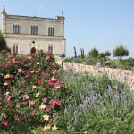 Masseria Didattica “Quattro Pizzure”