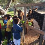 Masseria Didattica“Vivi Natura”