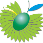 Masseria Didattica “Cooperativa Olearia Sannicolese”