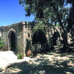 Masseria Didattica “Gli Ulivi”