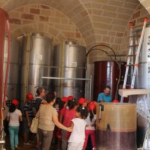 Masseria Didattica“Signora Porzia”