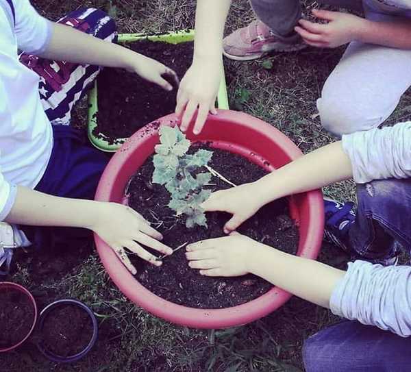 Featured image for “Festa D’Autunno. Guerrilla Gardening per la terra”