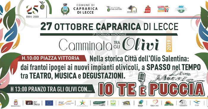 Featured image for “Camminata tra gli olivi”