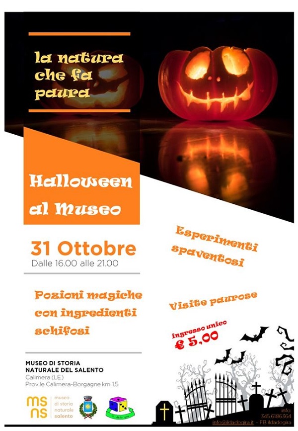 Featured image for “Halloween al museo”