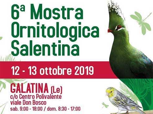 Featured image for “6° mostra ornitologica salentina”