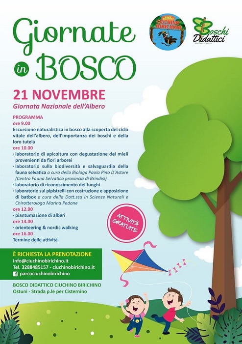 Featured image for “Giornata nazionale dell’albero”