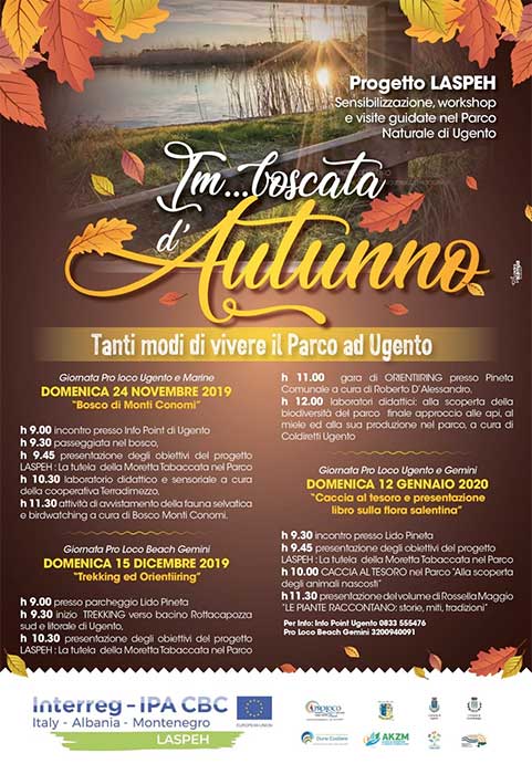 Featured image for “Im…boscata d’autunno”