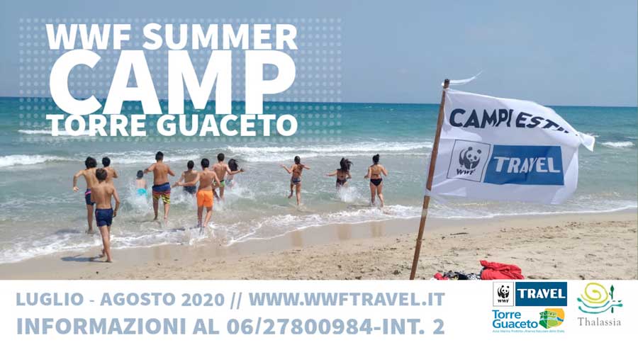 Featured image for “WWF SUMMER CAMP”
