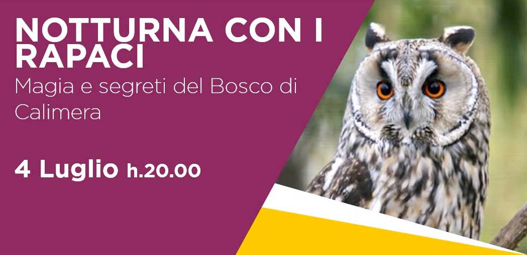 Featured image for “Notturna con i Rapaci – Magia e segreti del bosco di Calimera”