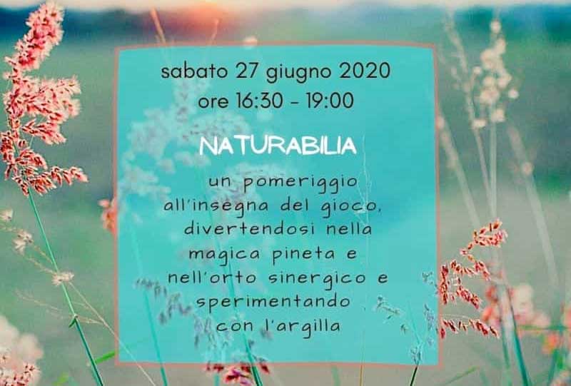 Featured image for “Naturabilia”