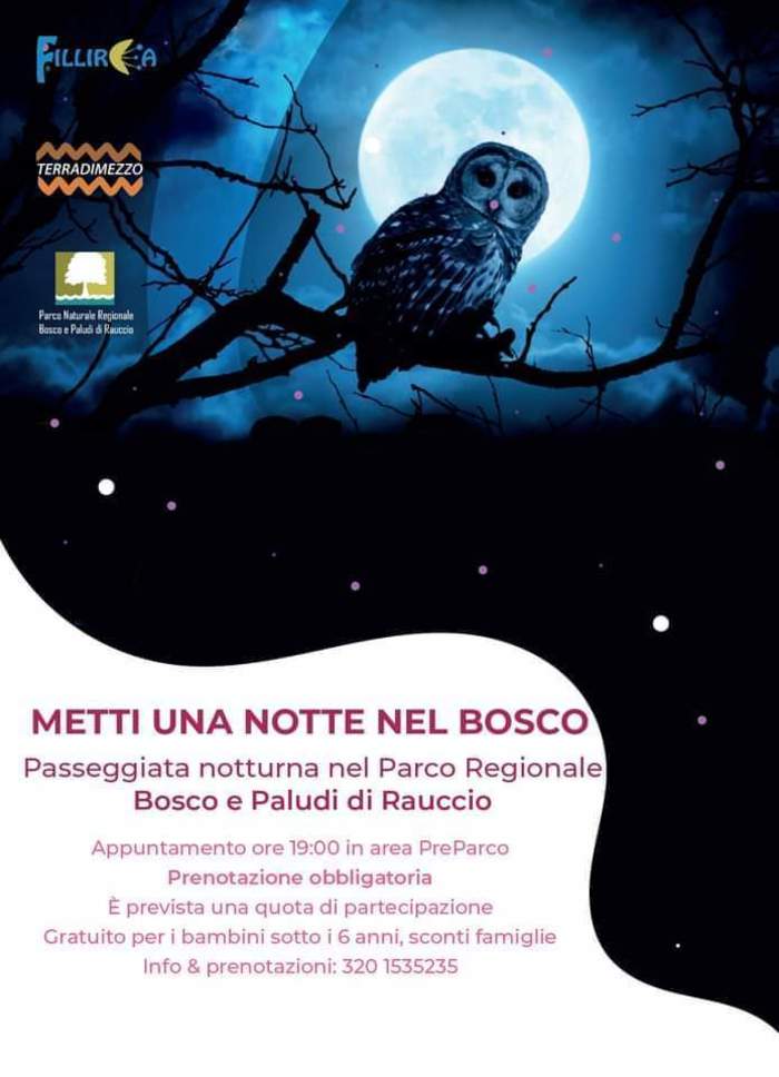 Featured image for “Metti una notte nel bosco”