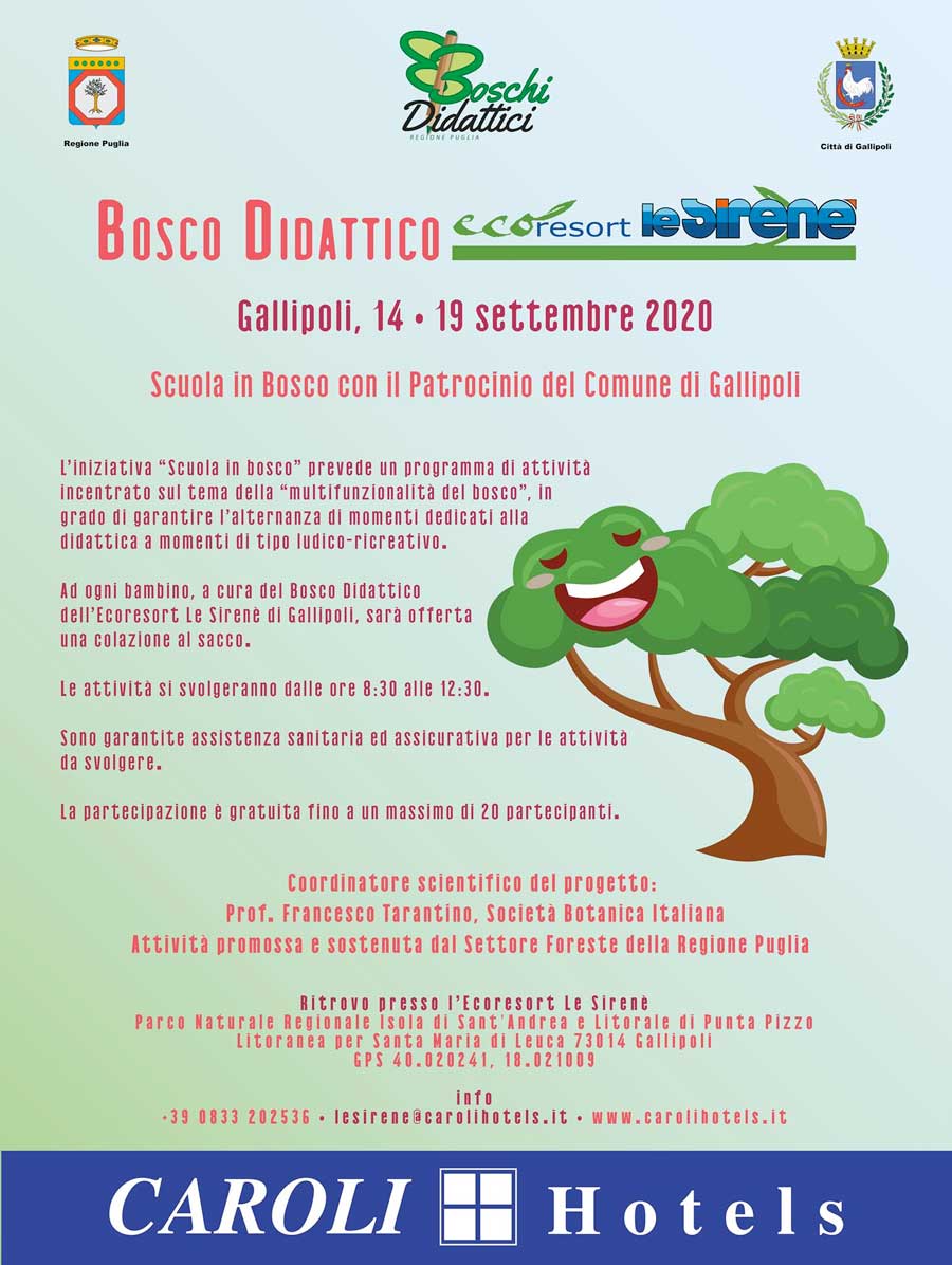 Featured image for “Scuola in bosco”