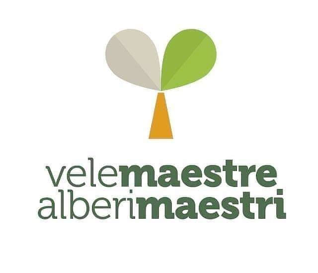 Featured image for “Vele Maestre Alberi Maestri”