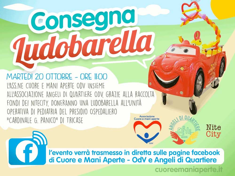 Featured image for “Consegna Ludobarella”
