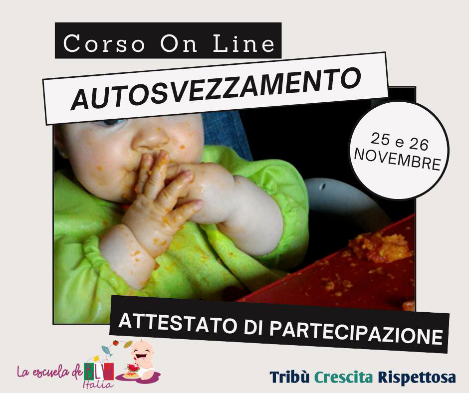Featured image for “Corso di autosvezzamento online”