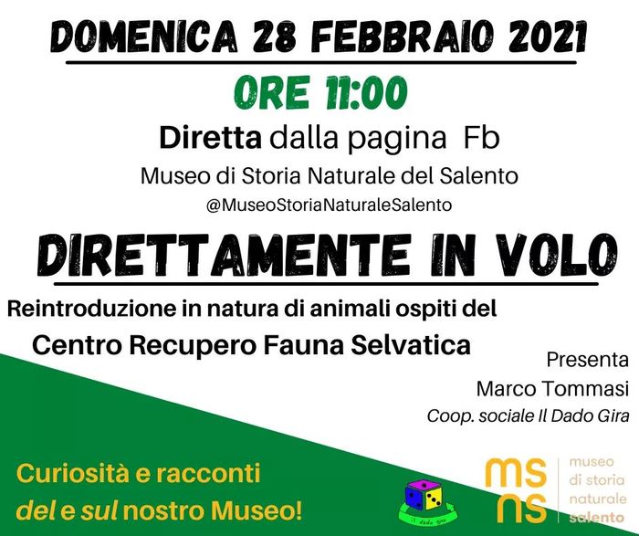 Featured image for “Reintroduzione in natura degli animali”