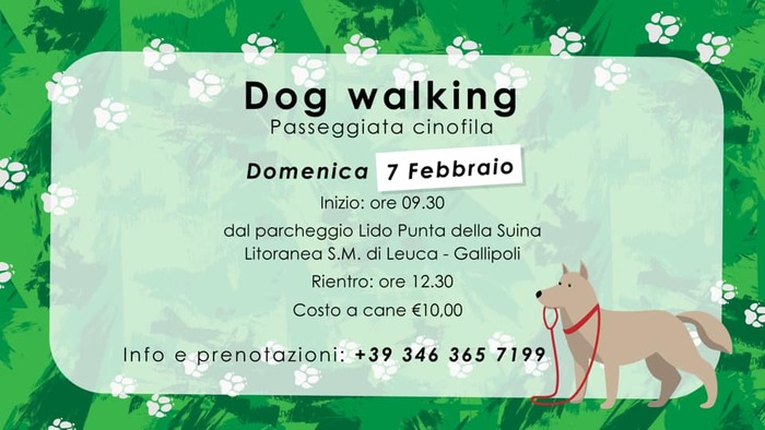 Featured image for “Dog Walking – Passeggiata a 4 zampe”