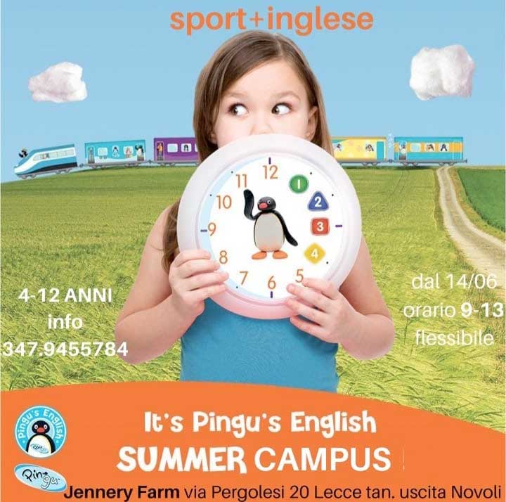Featured image for “It’s Pingu’s english summer campus”