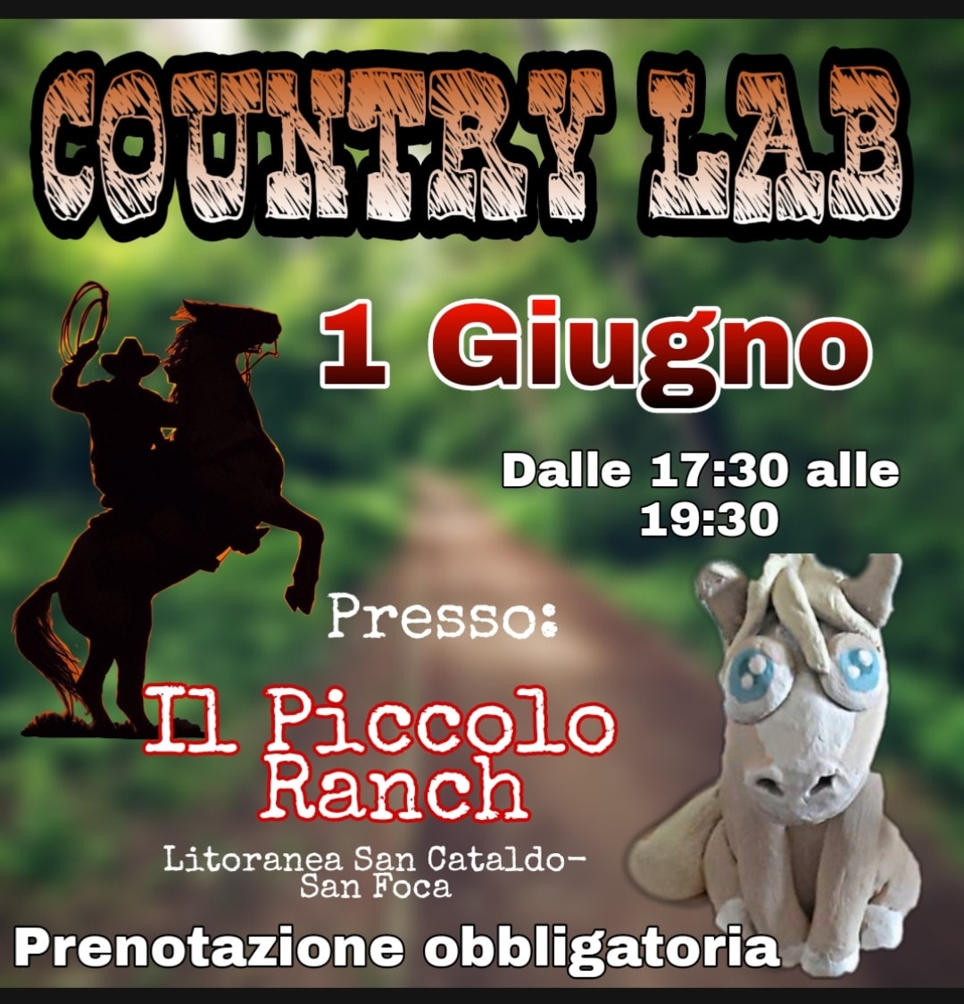 Featured image for “Country Lab”