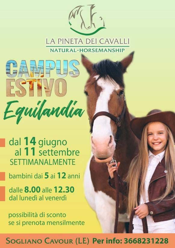 Featured image for “Campus estivo Equilandia”