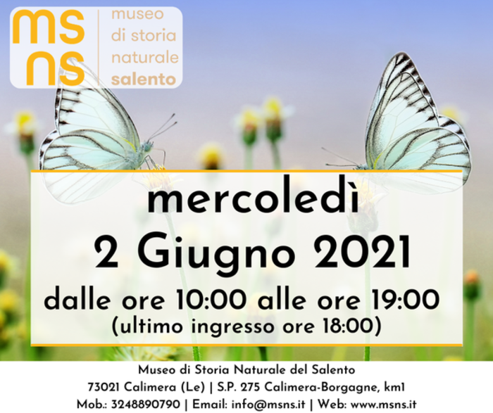 Featured image for “Museo di Storia Naturale di Calimera”