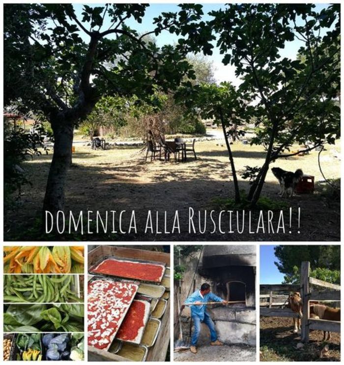 Featured image for “Domenica alla Rusciulara”