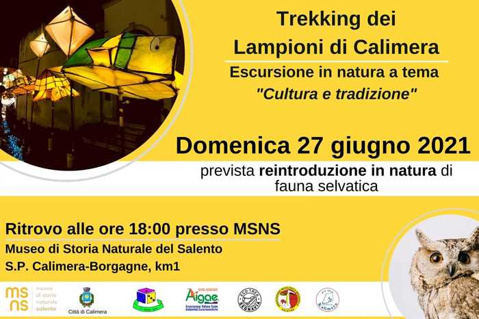 Featured image for “Trekking dei lampioni di Calimera”