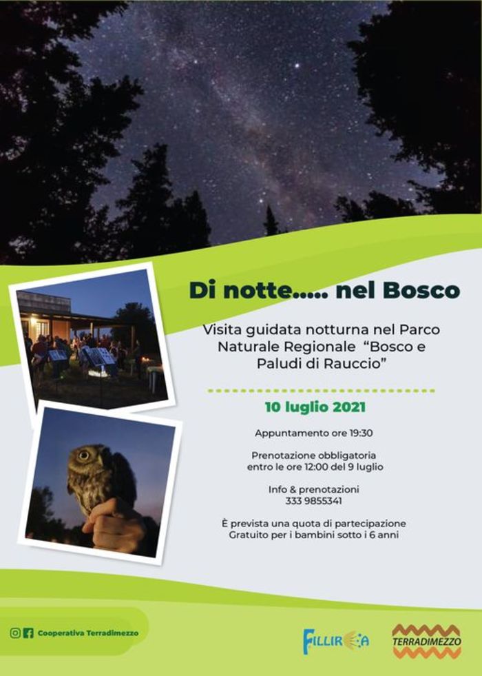 Featured image for “Di notte… nel Bosco”