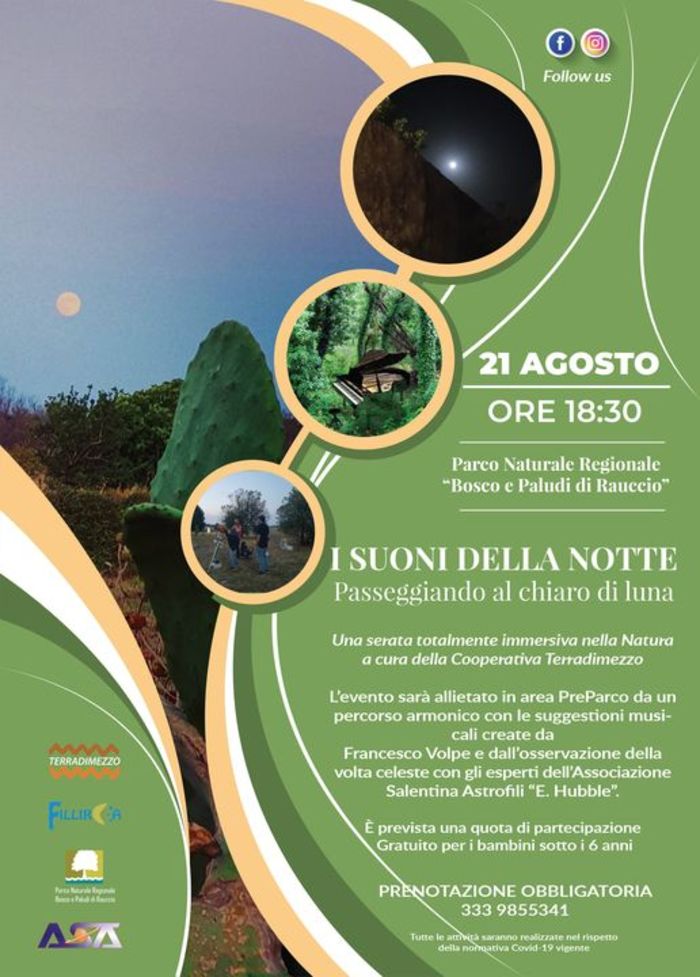 Featured image for “I suoni della notte – Passeggiando al chiaro di luna”