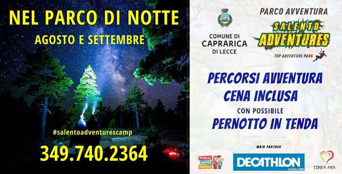 Featured image for “Nel parco di notte”