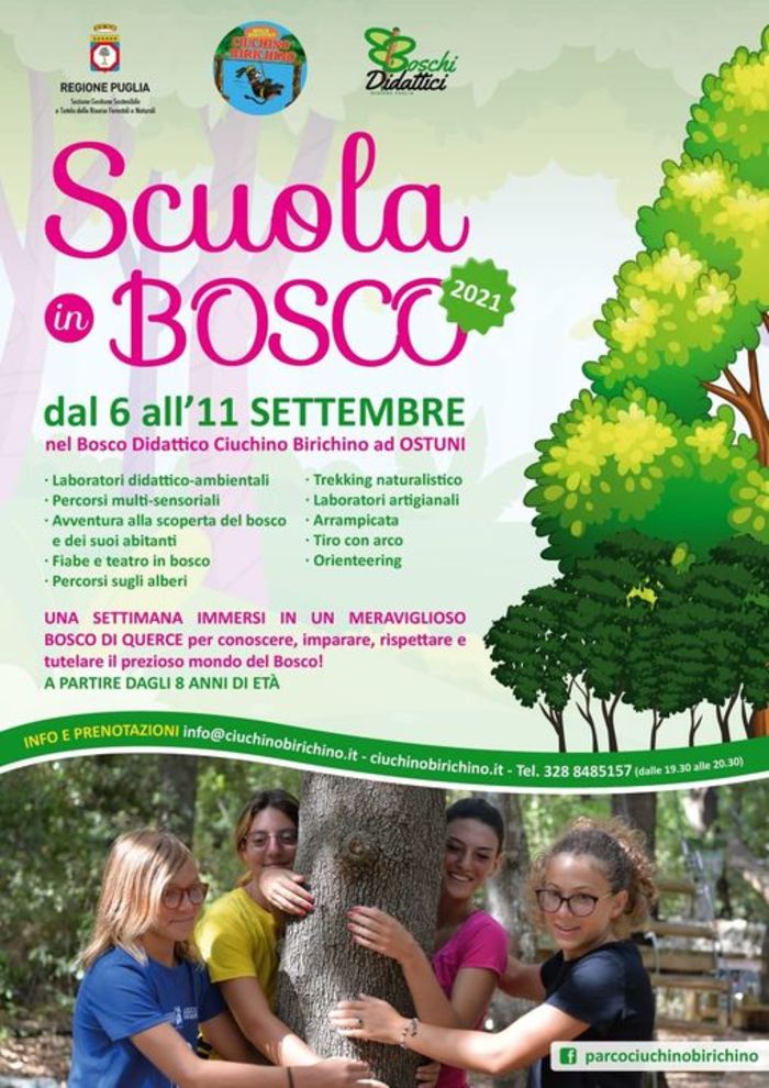 Featured image for “Scuola in Bosco”