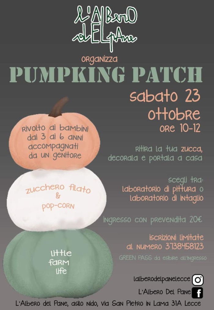 Featured image for “Pumpking patch”