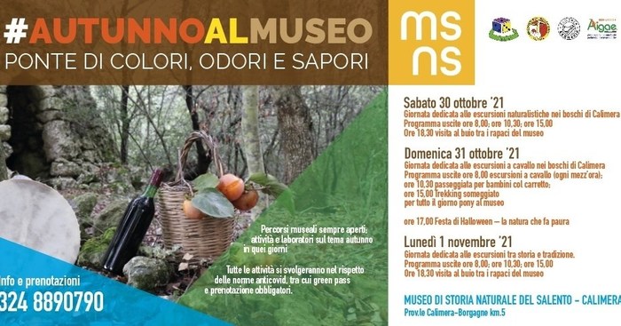 Featured image for “Autunno al Museo – Ponte di colori, odori e sapori”