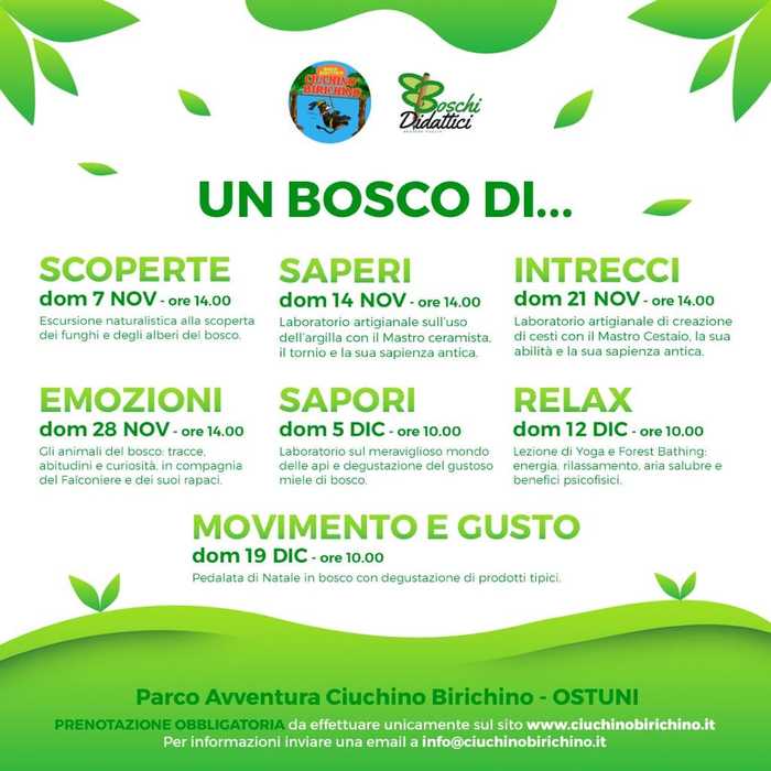 Featured image for “Un bosco di…”