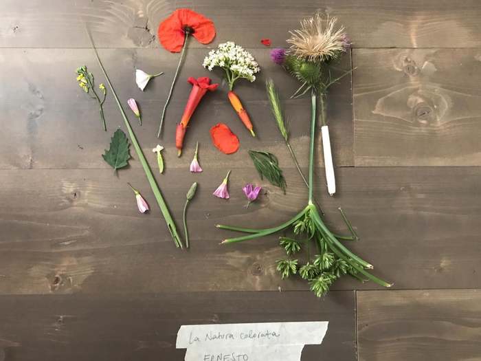 foglie e fiori su un tavolo