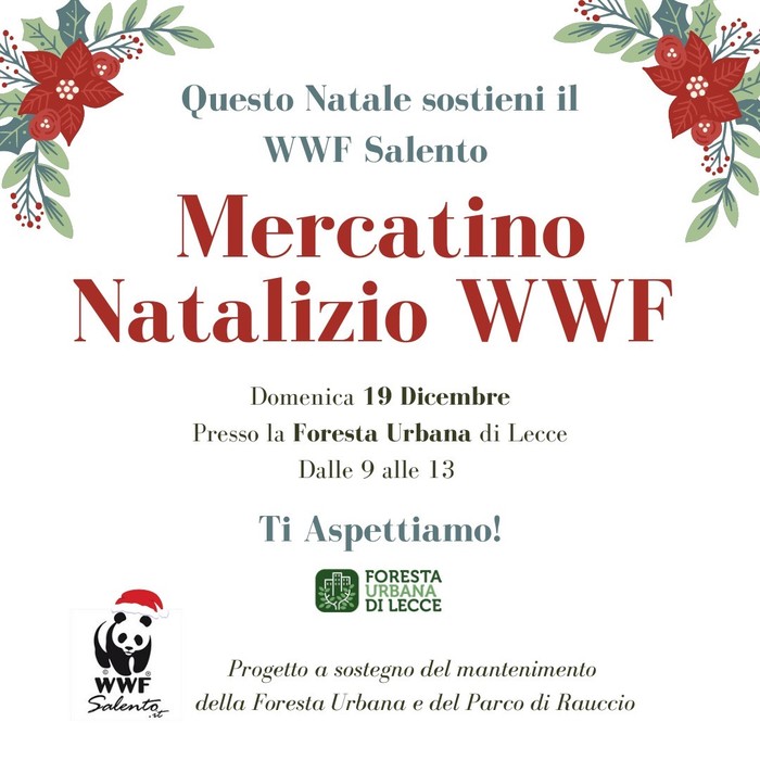 Featured image for “Mercatino Natalizio WWF”