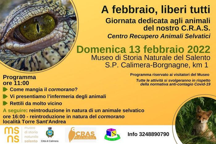 Featured image for “A febbraio, liberi tutti”