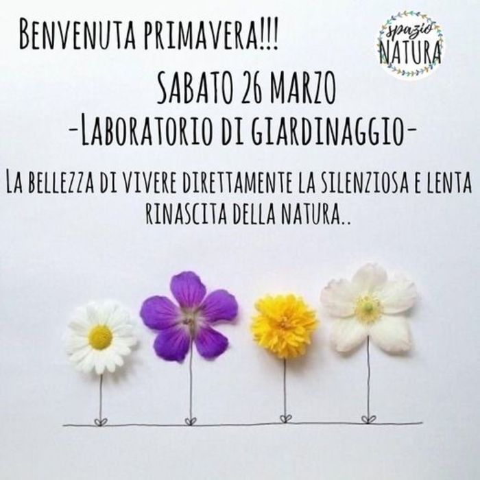 Featured image for “Laboratorio di giardinaggio”