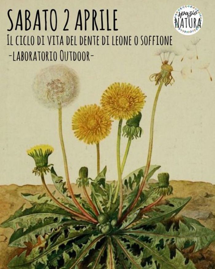 Featured image for “Laboratorio Outdoor”