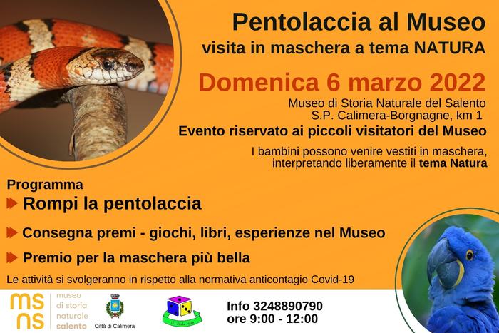 Featured image for “Pentolaccia al Museo”