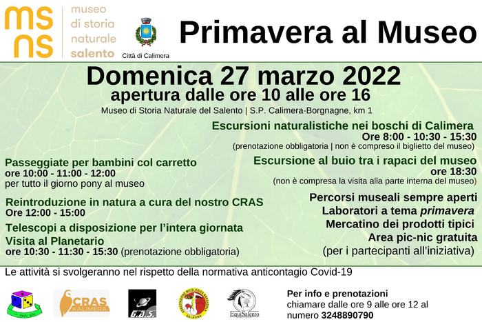 Featured image for “Primavera al museo”