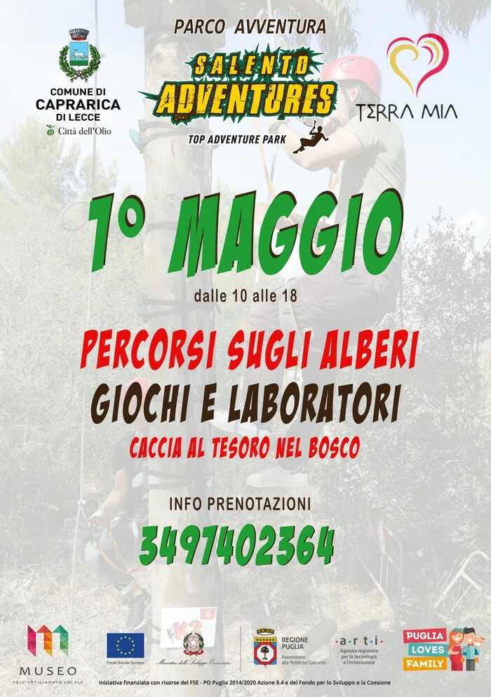 Featured image for “Percorsi sugli alberi, giochi e laboratori”