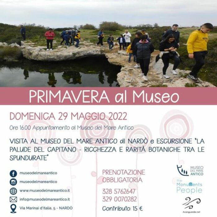 Featured image for “Primavera al Museo”