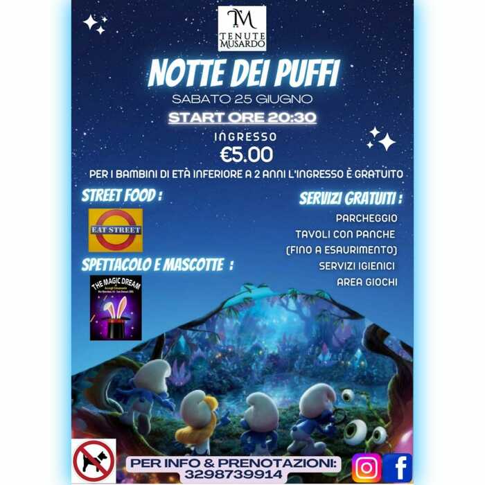 Featured image for “Notte dei puffi”