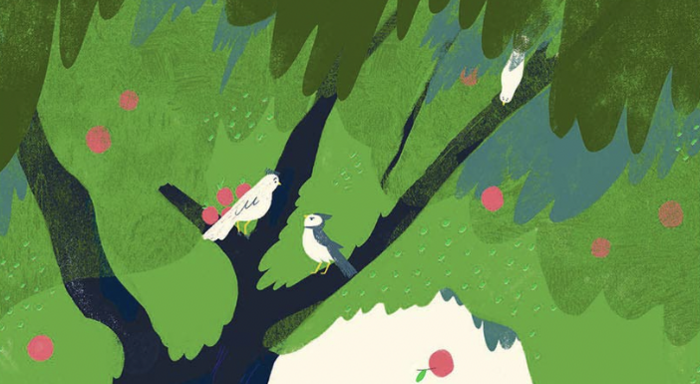 Featured image for “L’ora del racconto – Storie di alberi”