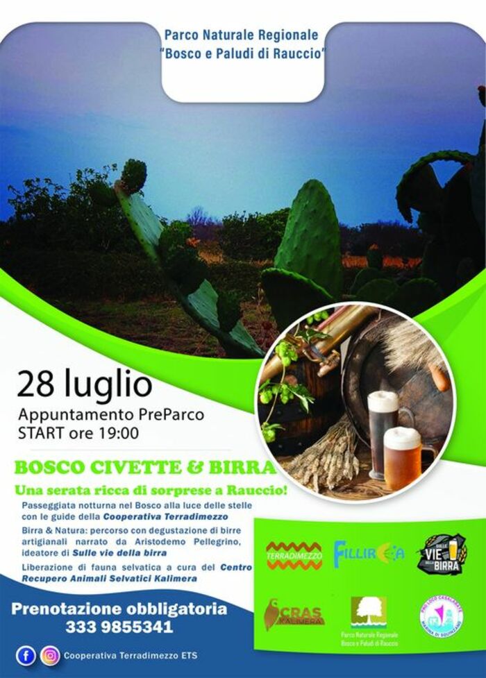 Featured image for “Bosco civette e birra”