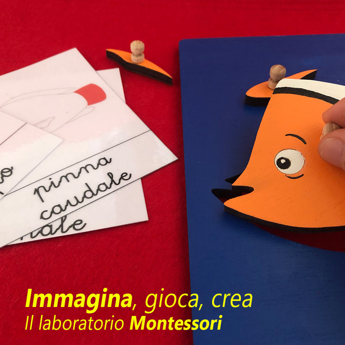Featured image for “Il mare e i suoi abitanti – Immagina, gioca, crea”