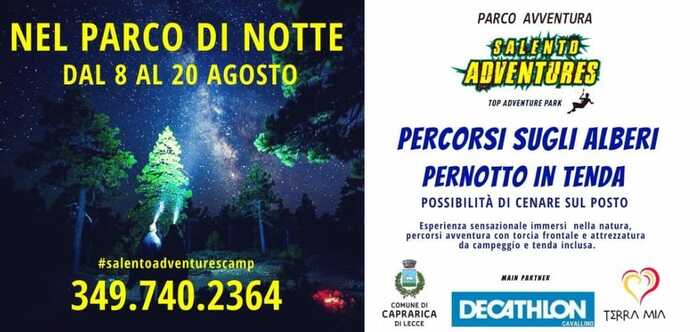 Featured image for “Nel parco di notte”