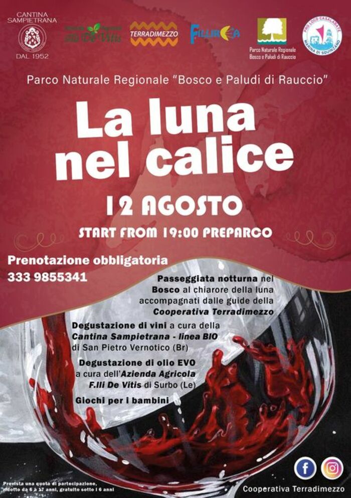 Featured image for “La luna nel calice”